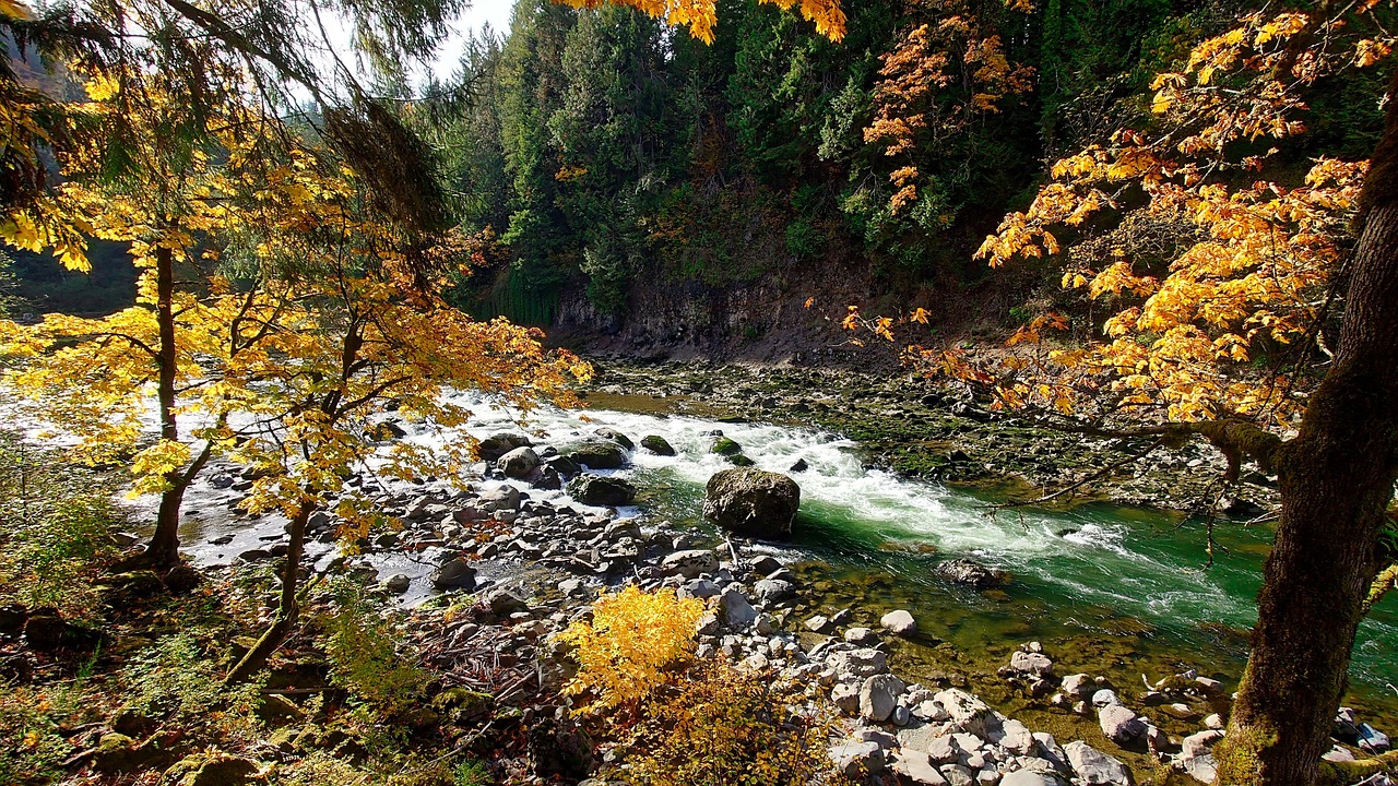 Otoño Río Rocas - Foto gratis en Pixabay - Pixabay