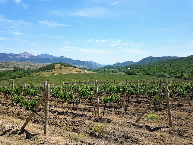 Free Crimea Mountains photo and picture