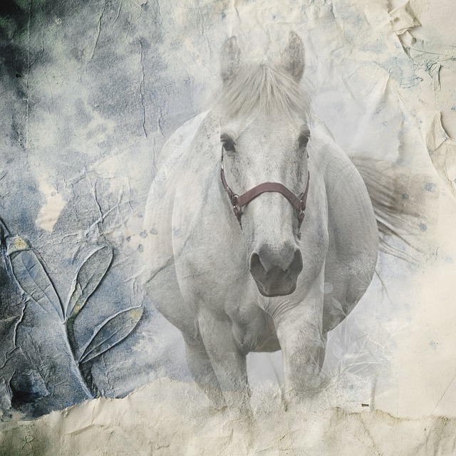 Free animal horse nature illustration