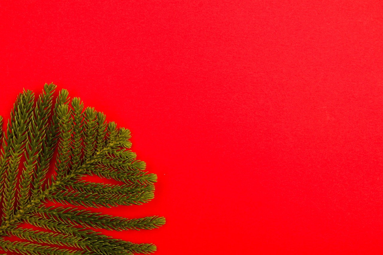 Background Fir Branch Frame - Free photo on Pixabay