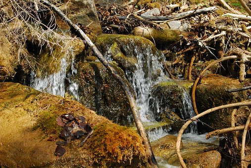Free Water Bach photo and picture