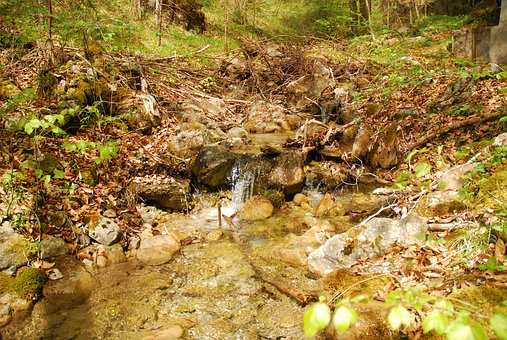 Free Landscape Bach photo and picture