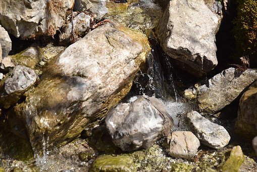 Free Rock Bach photo and picture