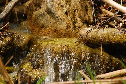 Free Water Bach photo and picture