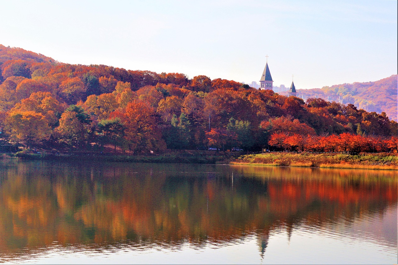 10 + 무료 동공 & 율동공원 이미지 - Pixabay