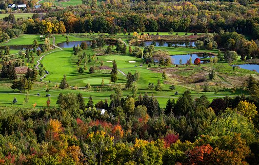 Free Golf Golf Course photo and picture
