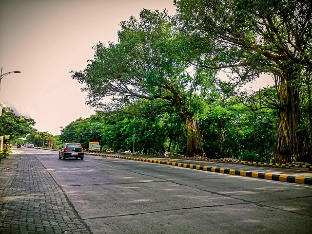 Free Road Highways photo and picture