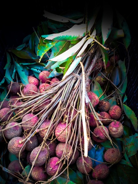 Free Litchi Fruit photo and picture