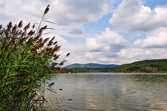 Free Lake Water photo and picture