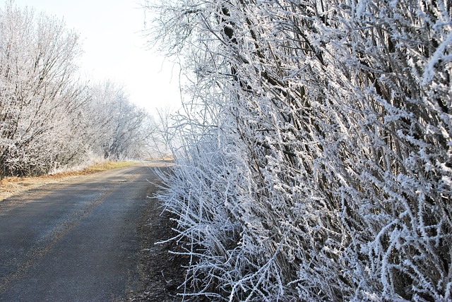 Free Winter Nature photo and picture