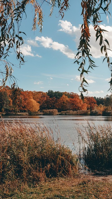 Free Lake Nature photo and picture
