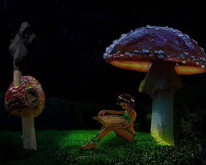 Fada, Relva, Floresta, Cogumelo