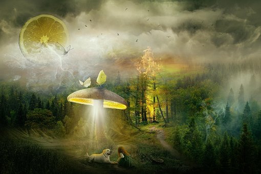 Free Fantasy Fairy Tale photo and picture