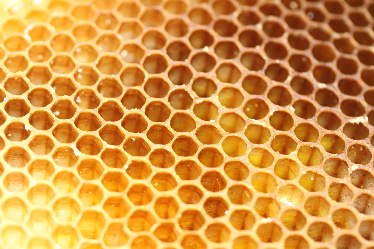 Hexagon Shape Free photo on Pixabay Pixabay