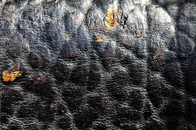 Free Macro Leather photo and picture