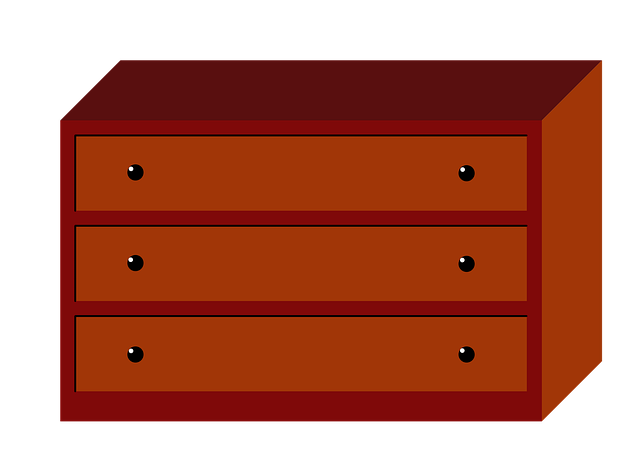 Free chest furniture interior illustration