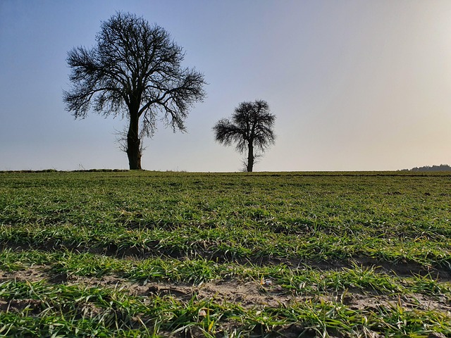 Free Field Countryside photo and picture