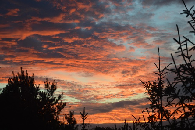 Free Sky Clouds photo and picture