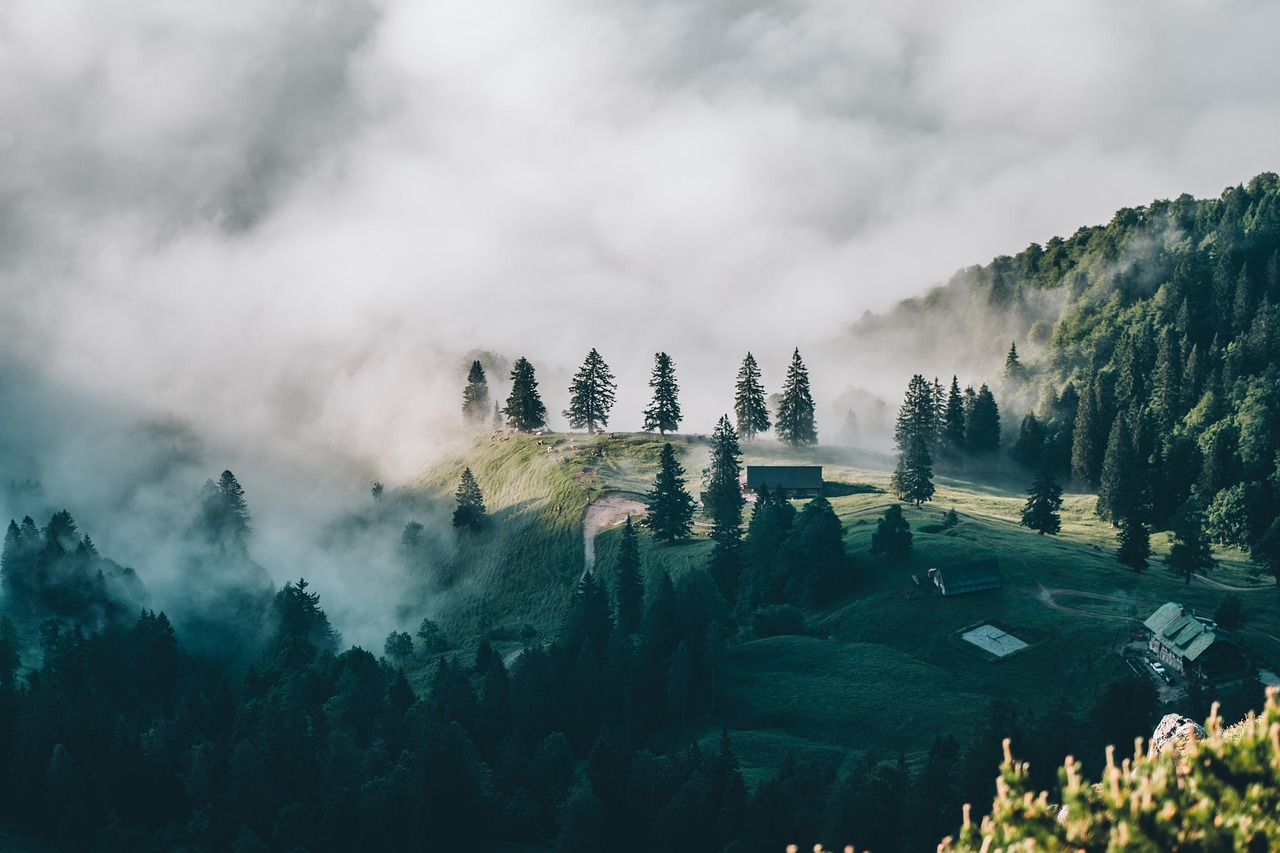 Nature - free online jigsaw puzzle photo
