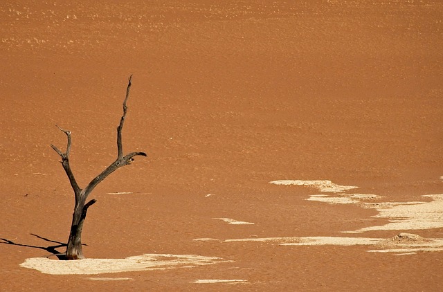 Free Desert Sand photo and picture