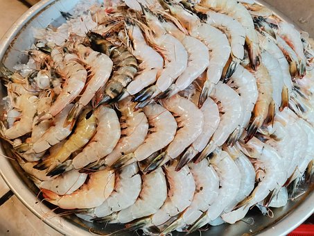 Free Prawn Shrimp photo and picture