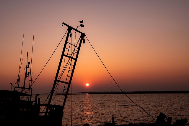 Sonnenuntergang, Meer, Schiff, Möwe