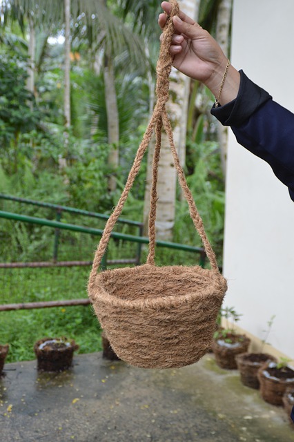 Coco Basket Organic - Free photo on Pixabay - Pixabay