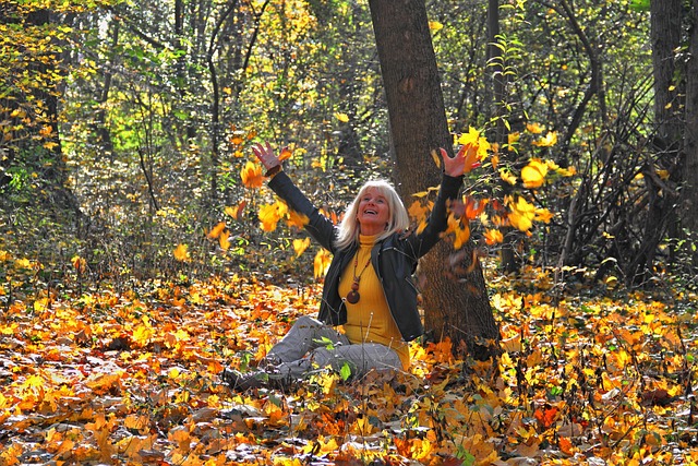 Free Nature Autumn photo and picture
