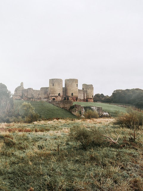 Free Field Castle photo and picture