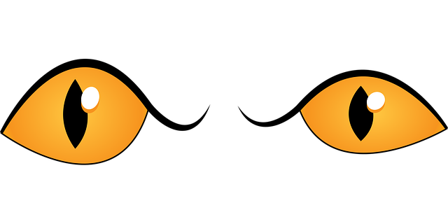 Free eyes eyebrow iris vector