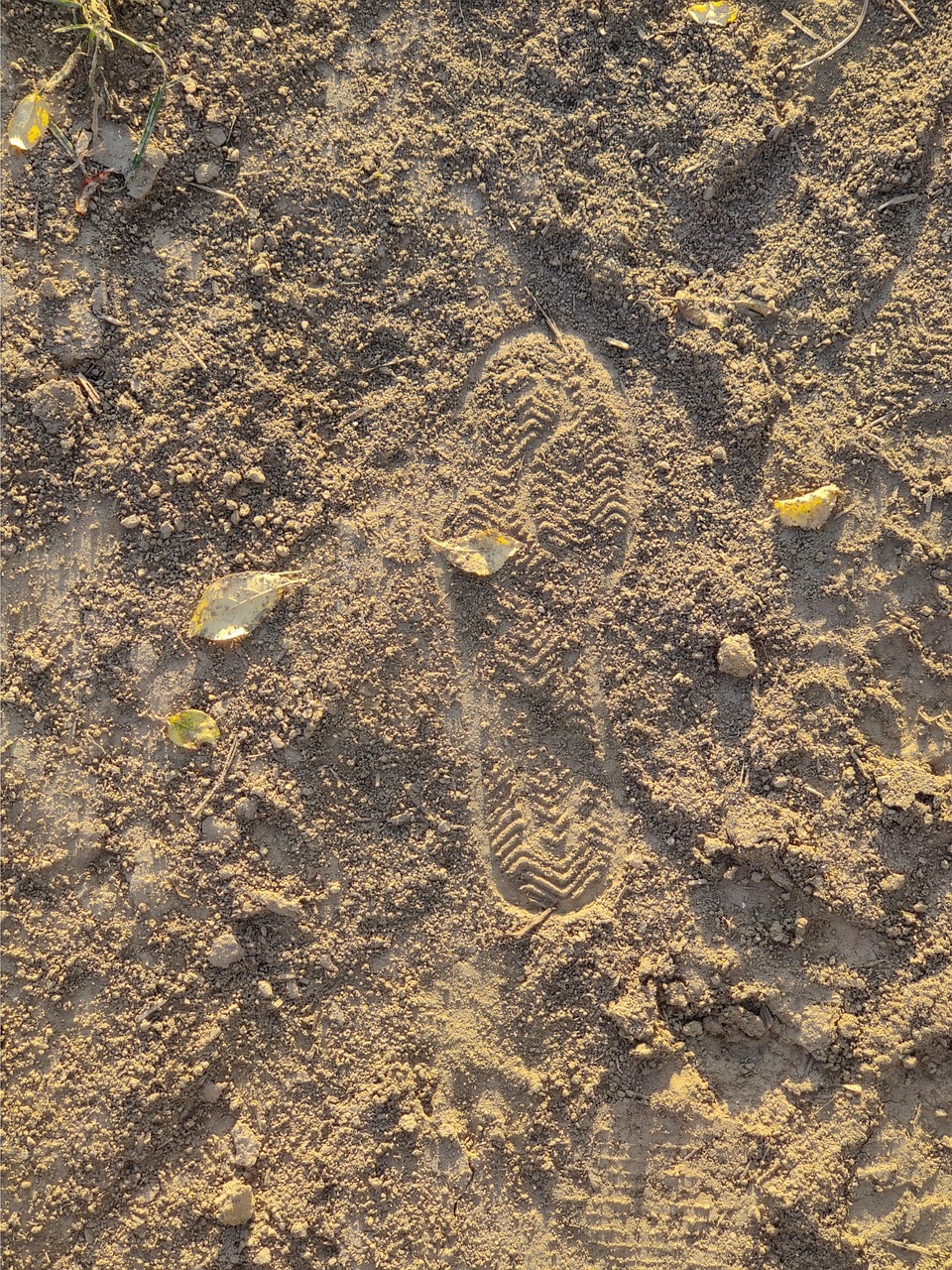 Free Earth Soil photo and picture
