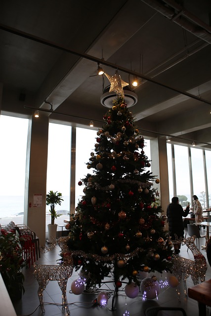 Free Gangwon Do Winter photo and picture