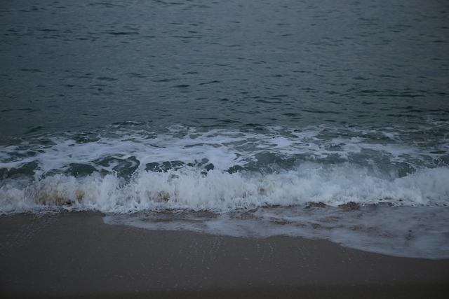 Free Gangwon Do Winter photo and picture