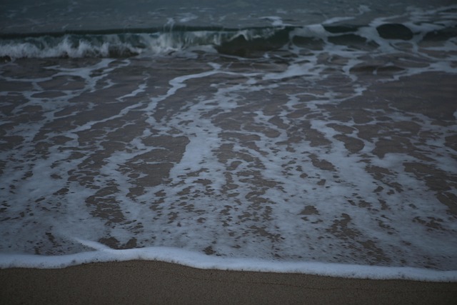 Free Gangwon Do Winter photo and picture