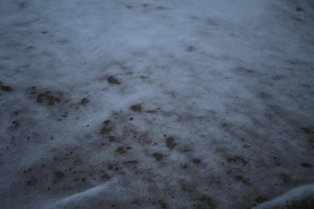 Free Gangwon Do Winter photo and picture