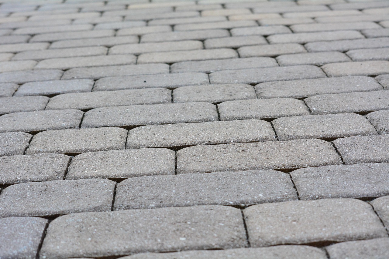 300 多张免费的“Path Texture”和“质地”照片 - Pixabay