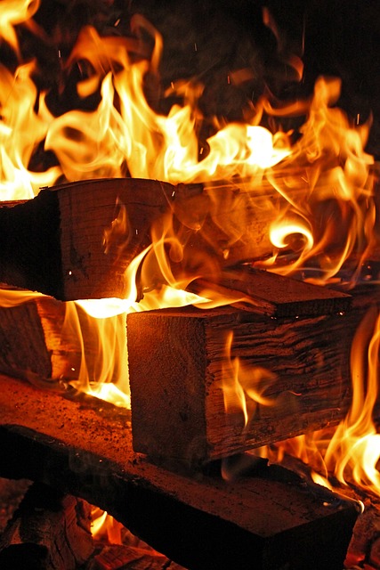 Free Fire Flame photo and picture