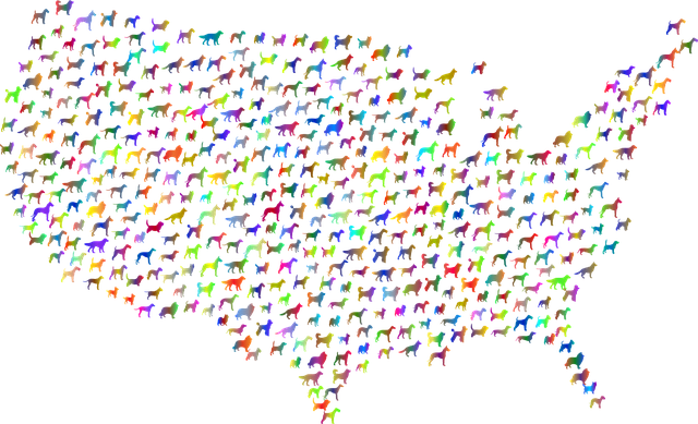 Free dogs america map illustration
