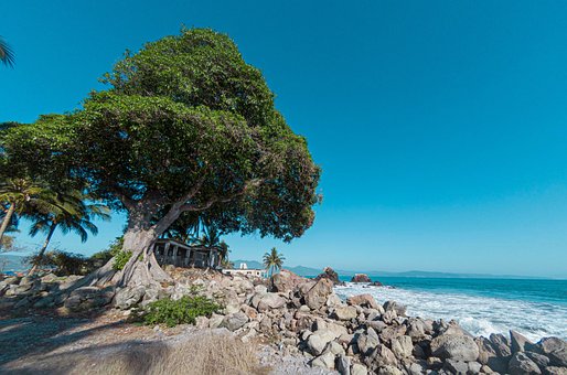 Free Beach Sea photo and picture