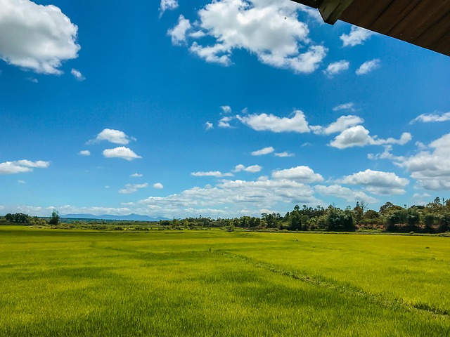 Free Sky Vietnam photo and picture