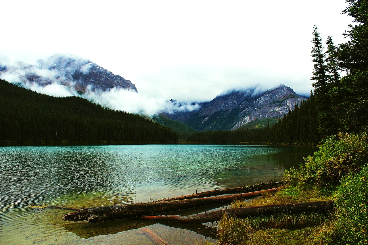 Nature Lake Travel - Free photo on Pixabay - Pixabay