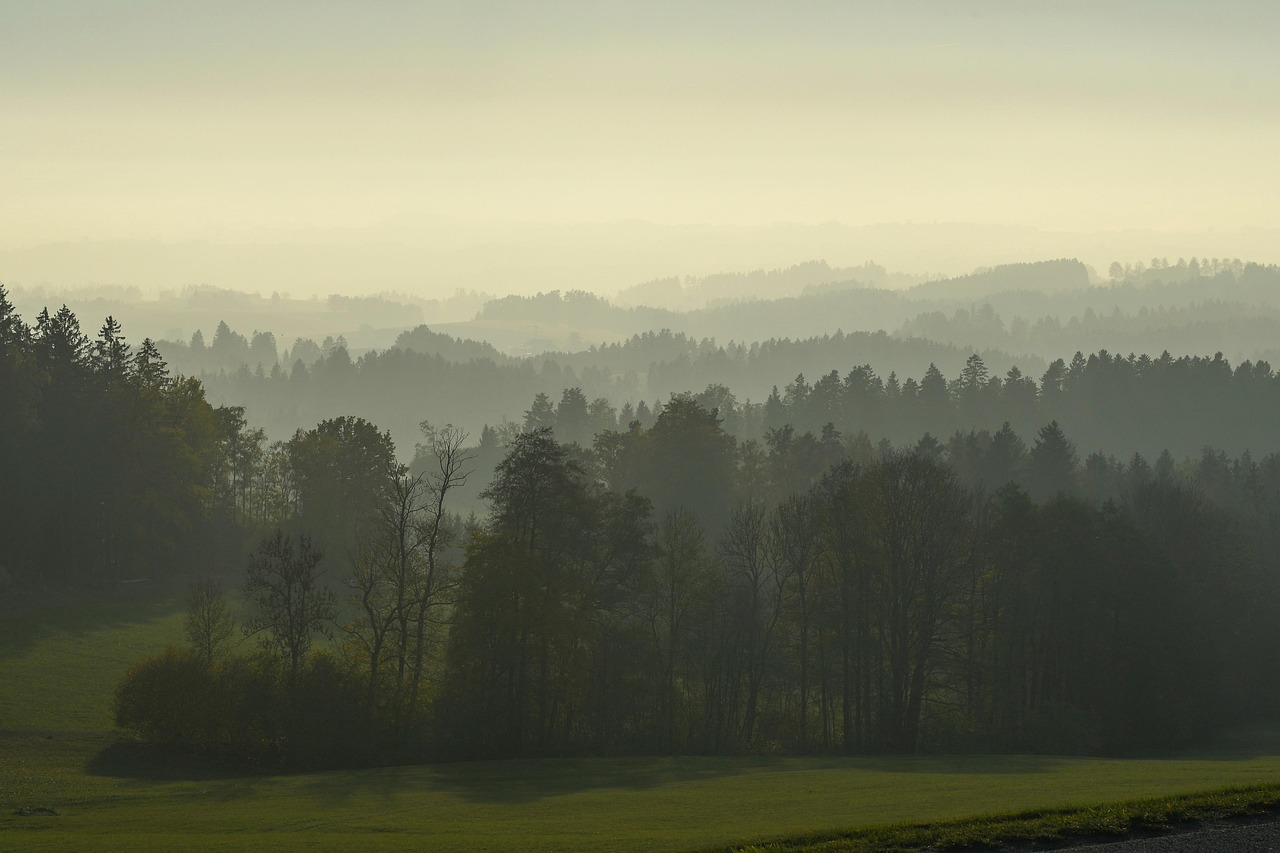 Nature - free online jigsaw puzzle photo