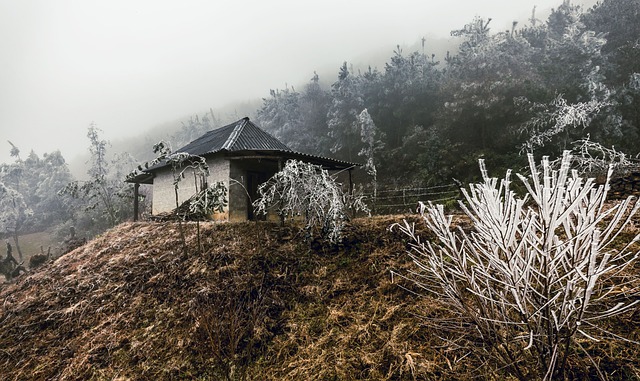 Montaña, Paisaje Brumoso, Clima Frío