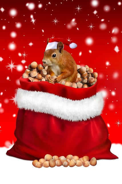 Biglietto di auguri con slitta di Babbo Natale