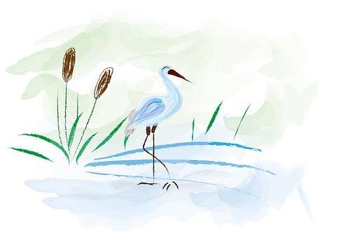 Free Stork Feathers illustration and picture