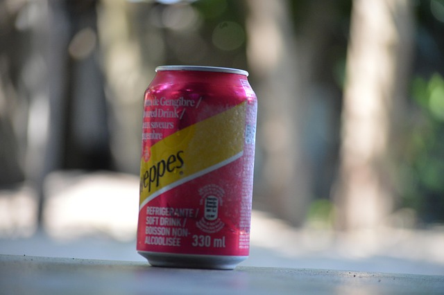 Free Schweppes Ginger Ale photo and picture