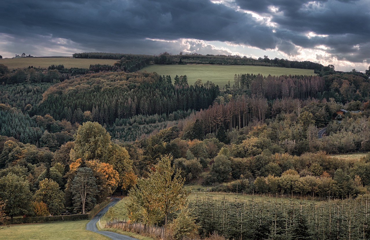 Sauerland - free online jigsaw puzzle photo