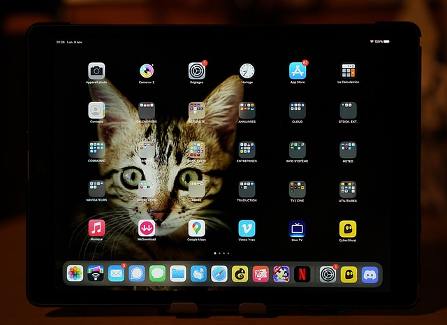 Free Ipad Tablet photo and picture