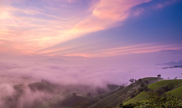 Colina Del Té, Naturaleza, Nubes, Campo