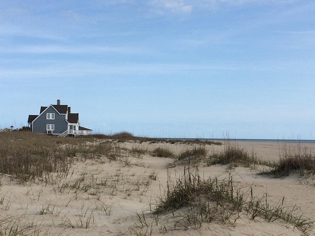 Free Beach Sea photo and picture